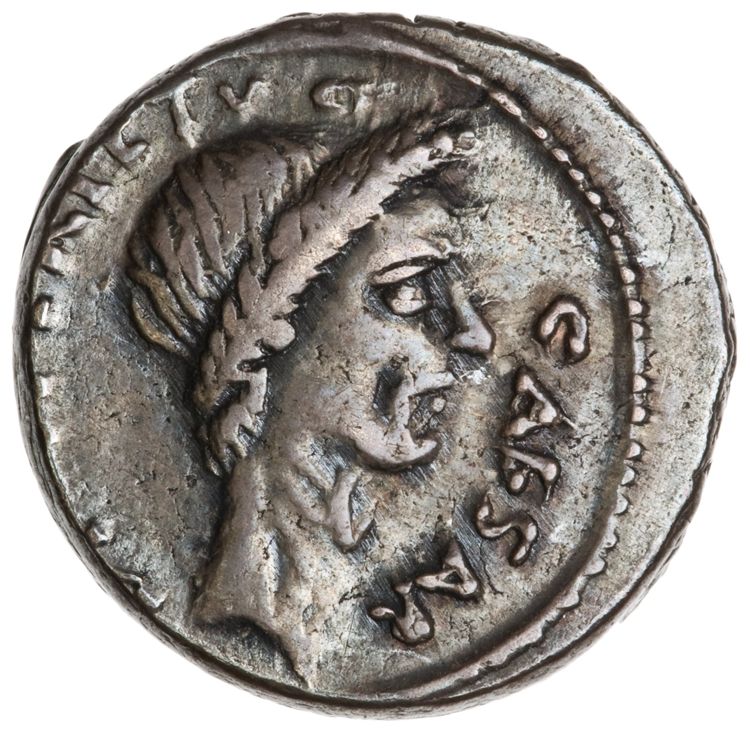 RRC 480/7b, аверс, American Numismatic Society (ans)