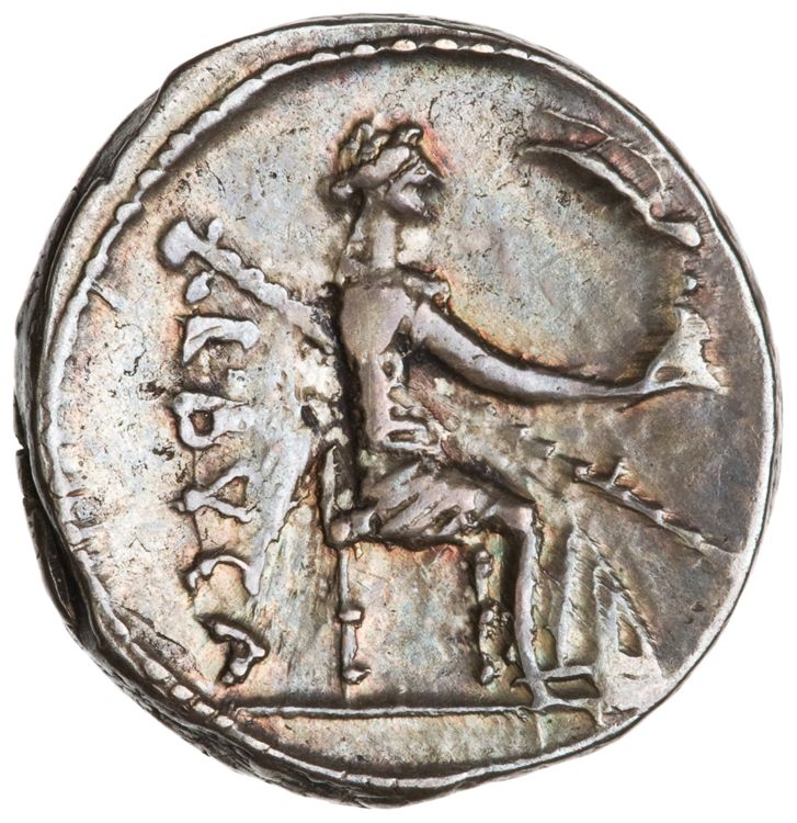 RRC 480/7b, реверс, American Numismatic Society (ans)