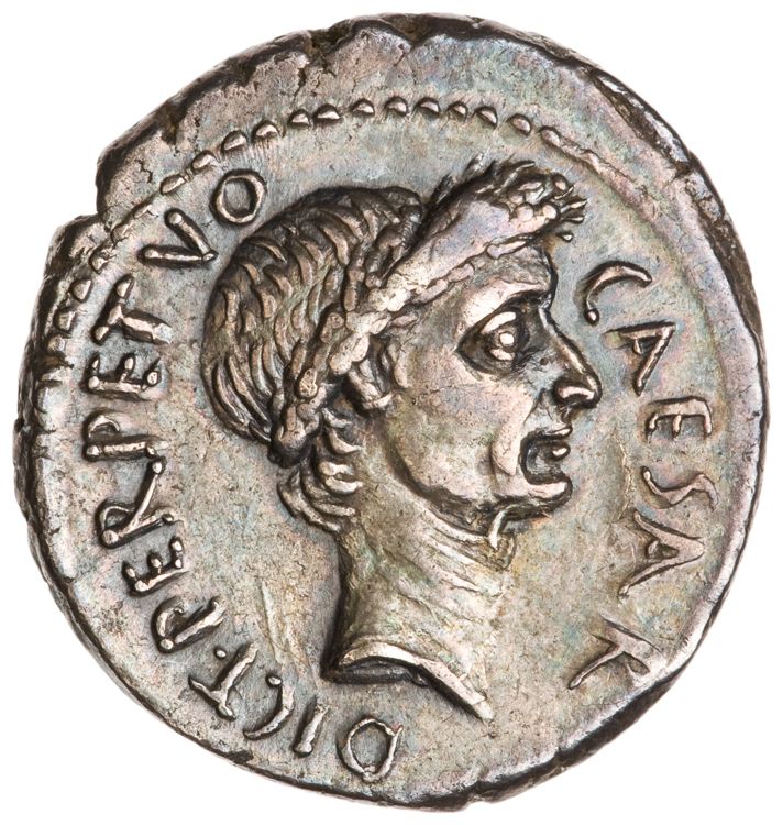 RRC 480/8, аверс, American Numismatic Society (ans)