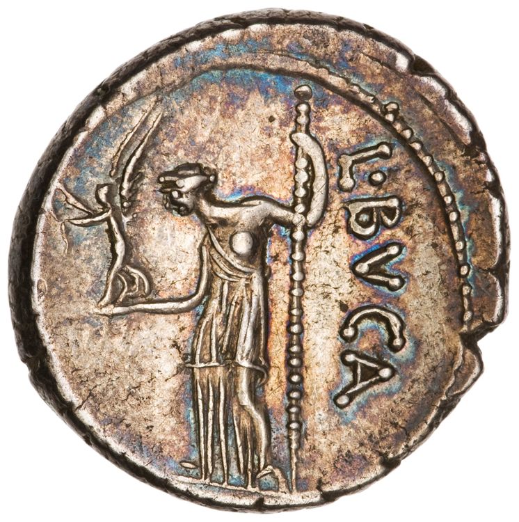 RRC 480/8, реверс, American Numismatic Society (ans)