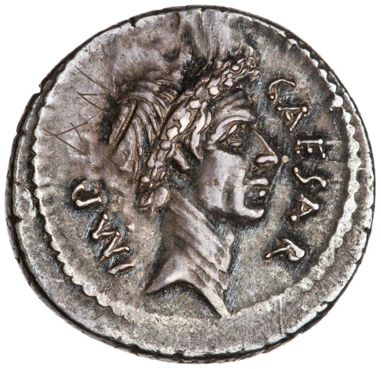 RRC 494/16, obverse, American Numismatic Society (ans)