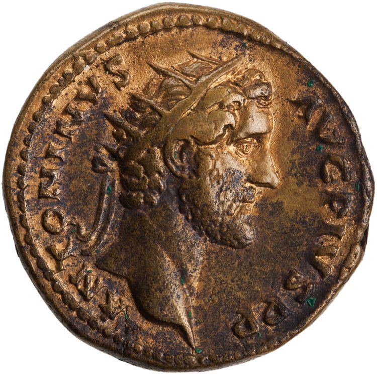 RIC III Antoninus Pius 553, аверс, American Numismatic Society (ans)
