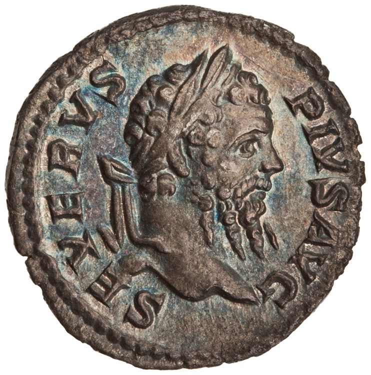 RIC IV Septimius Severus 230, аверс, American Numismatic Society (ans)