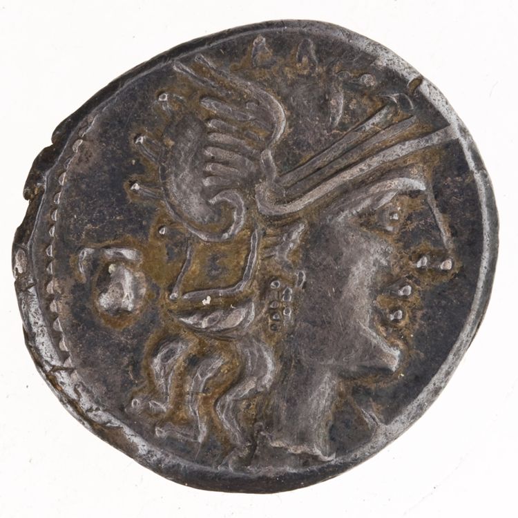 RRC 235/1b, аверс, American Numismatic Society (ans)