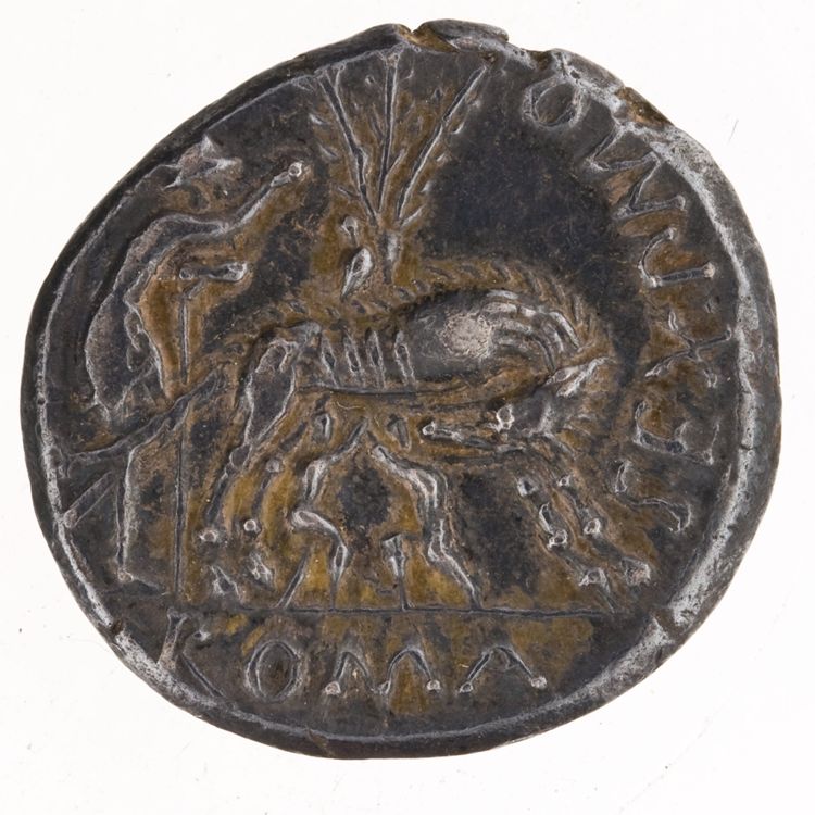 RRC 235/1b, реверс, American Numismatic Society (ans)
