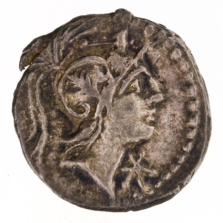 RRC 335/3g, аверс, American Numismatic Society (ans)