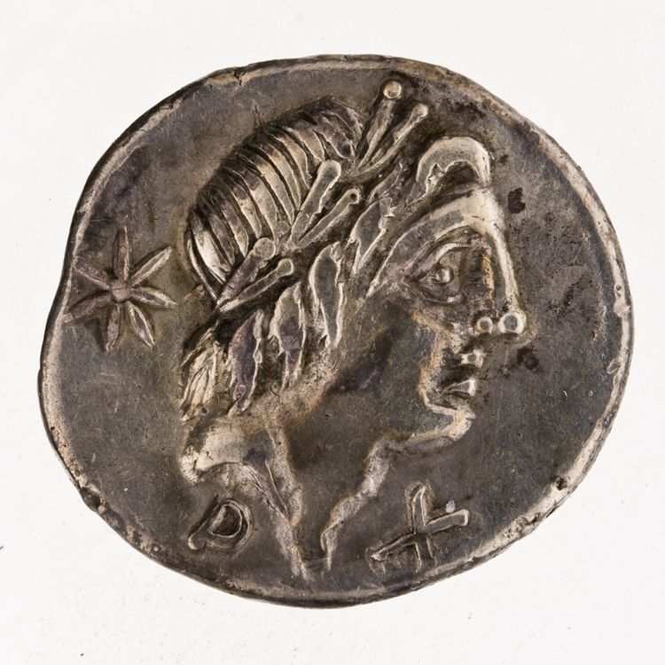 RRC 335/10b, аверс, American Numismatic Society (ans)