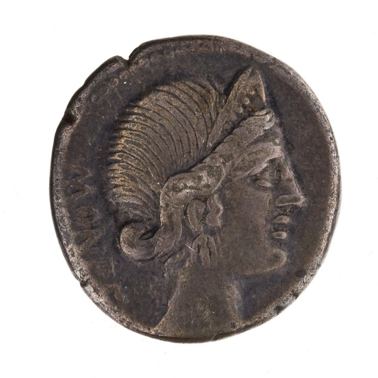RRC 396/1b, obverse, American Numismatic Society (ans)