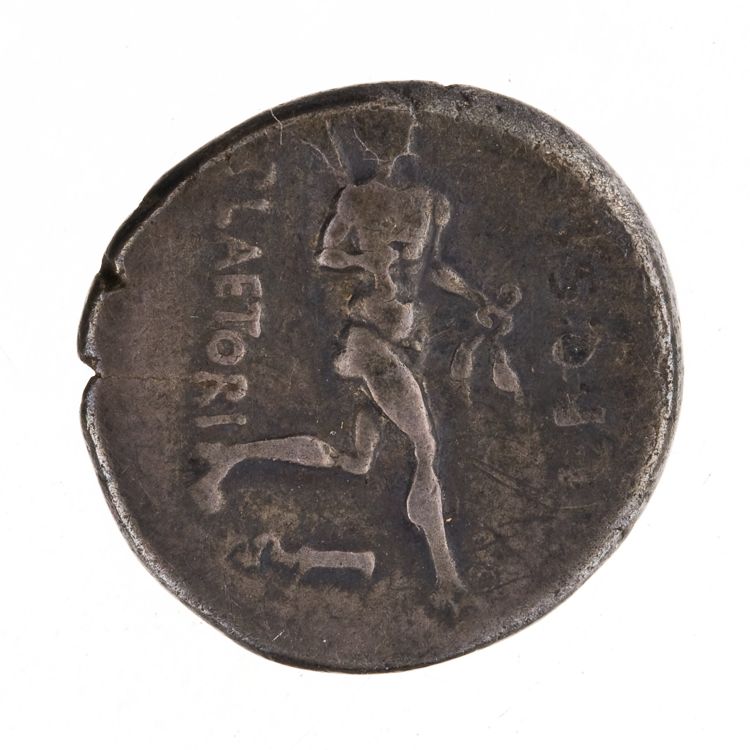 RRC 396/1b, reverse, American Numismatic Society (ans)