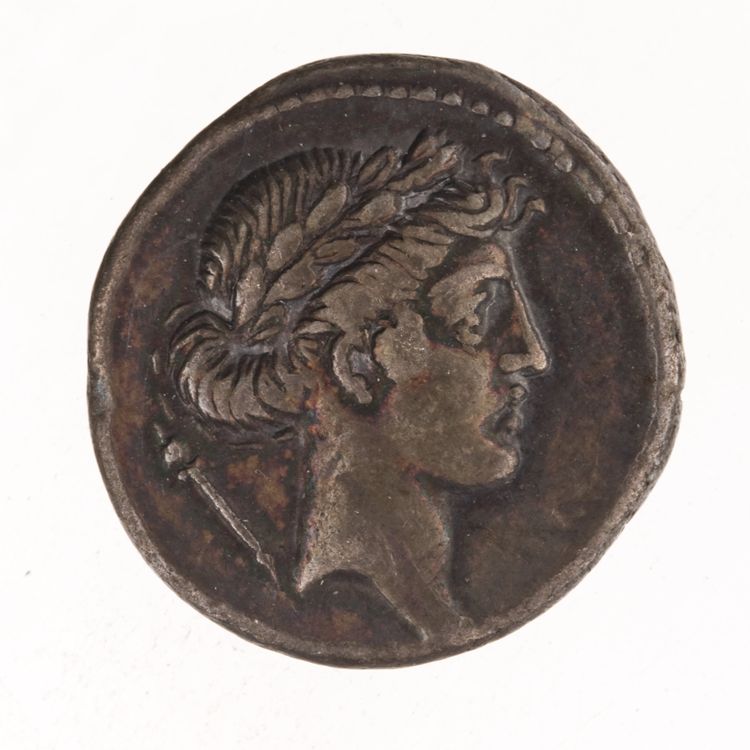 RRC 410/4, obverse, American Numismatic Society (ans)