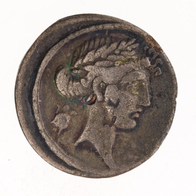RRC 410/7b, obverse, American Numismatic Society (ans)