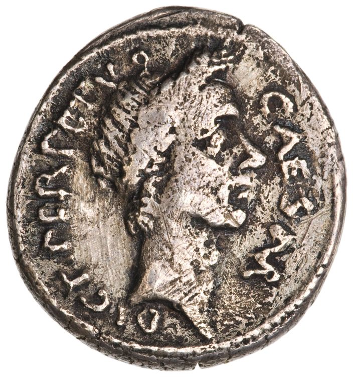 RRC 480/7b, аверс, American Numismatic Society (ans)