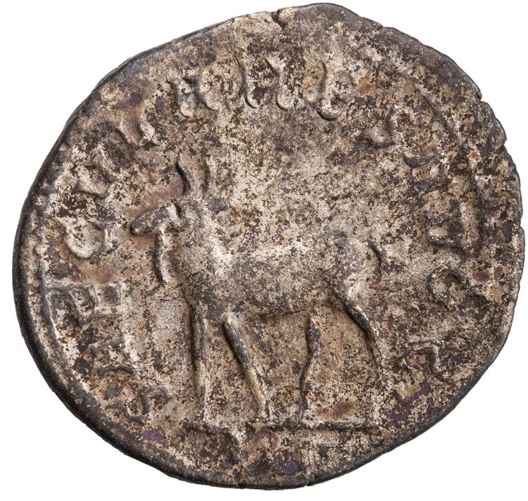 RIC IV Philip I 224, реверс, American Numismatic Society (ans)