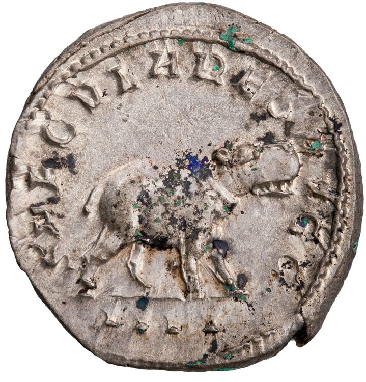 RIC IV Philip I 116B, реверс, American Numismatic Society (ans)