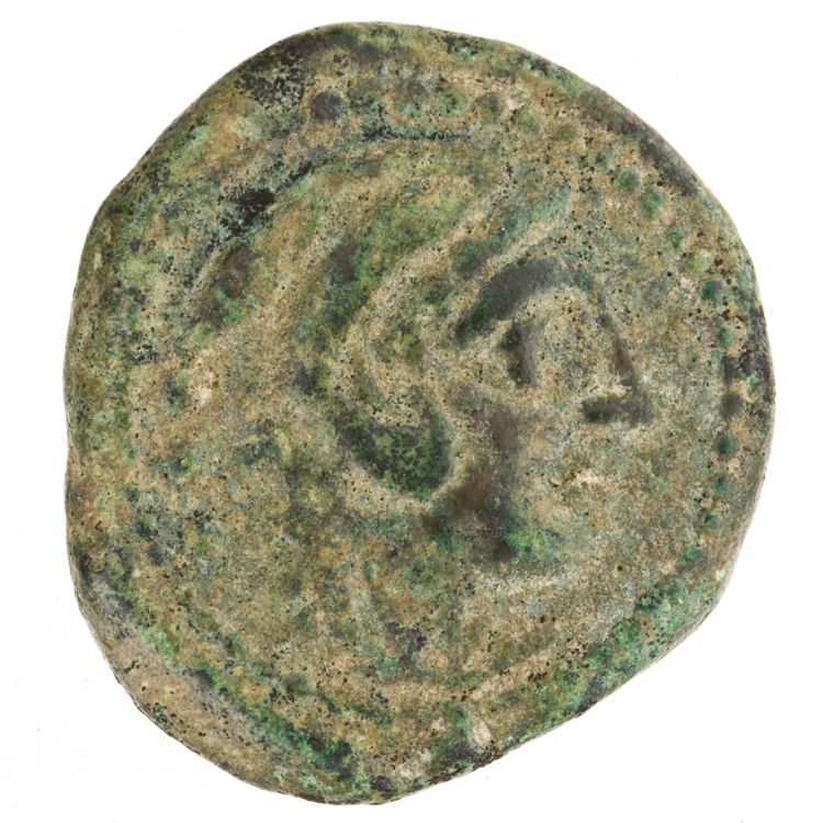 RRC 262/4, аверс, American Numismatic Society (ans)