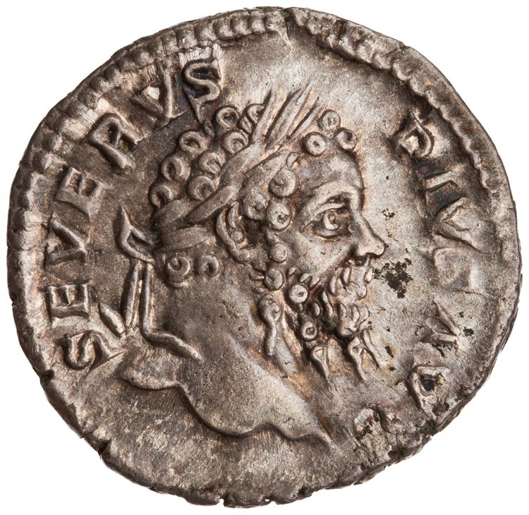 RIC IV Septimius Severus 211, obverse, American Numismatic Society (ans)