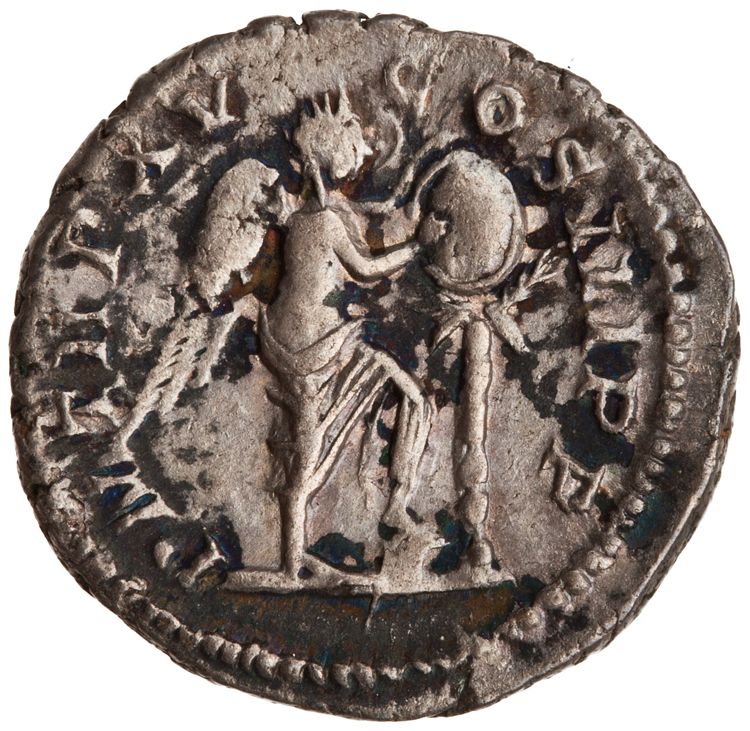 RIC IV Septimius Severus 211, reverse, American Numismatic Society (ans)