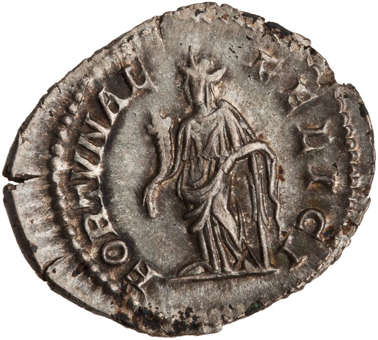 RIC IV Septimius Severus 552, реверс, American Numismatic Society (ans)