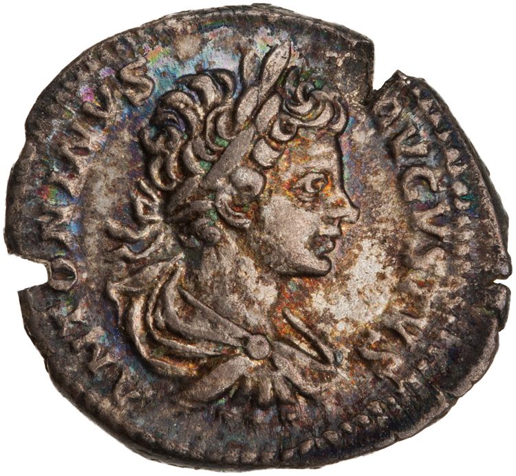 аверс RIC IV Caracalla 39A (denarius)