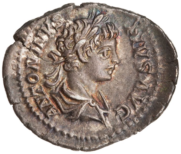 RIC IV Caracalla 130A (denarius), аверс, American Numismatic Society (ans)