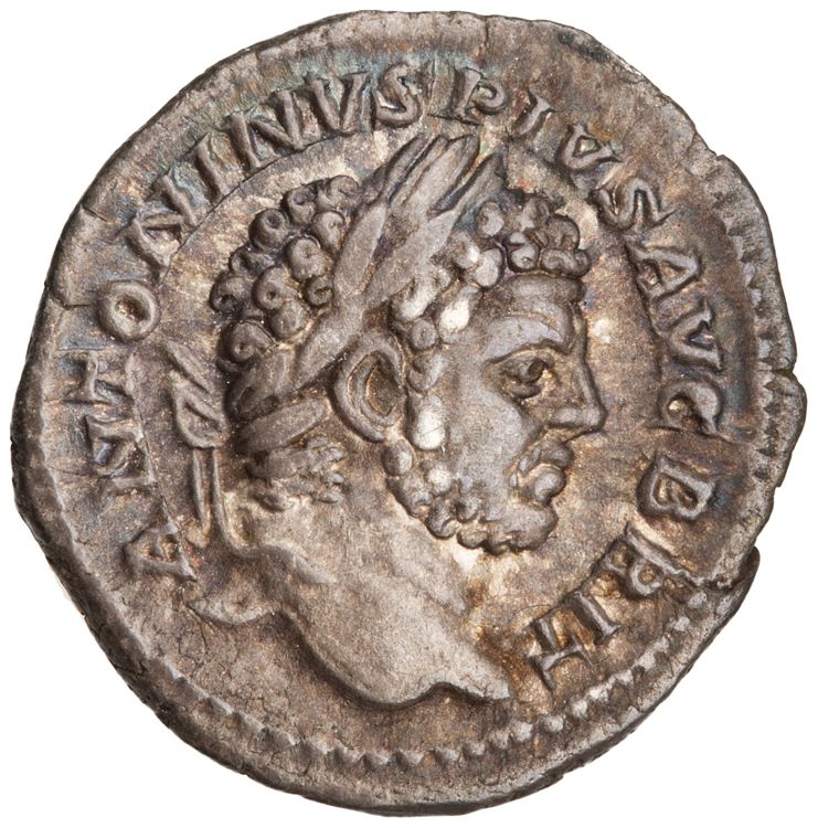 RIC IV Caracalla 214, аверс, American Numismatic Society (ans)
