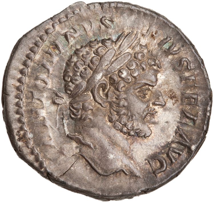 RIC IV Caracalla 206b, аверс, American Numismatic Society (ans)
