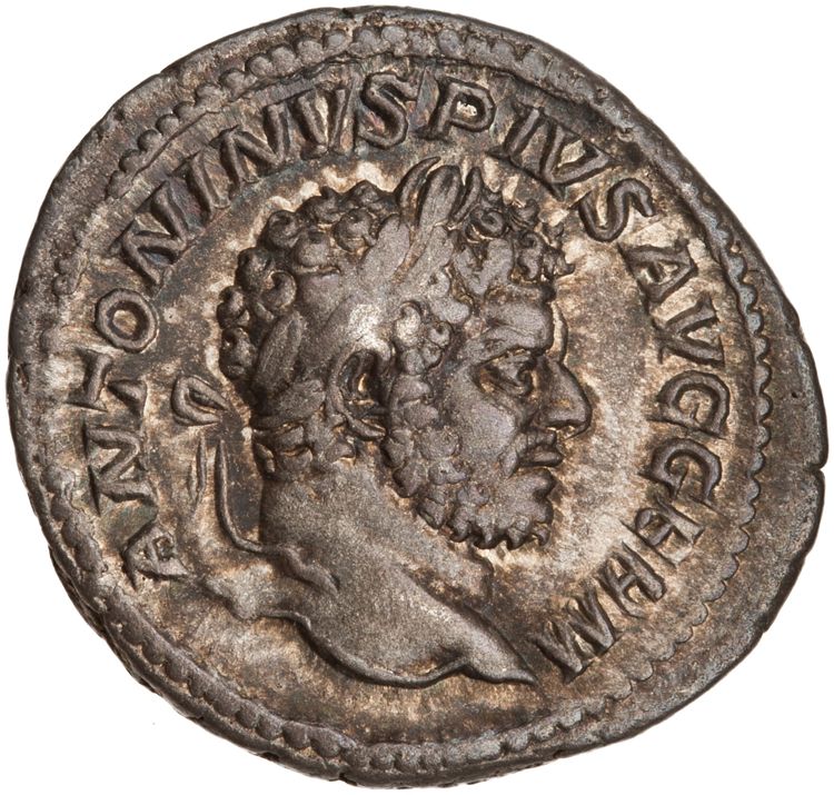 RIC IV Caracalla 208c, аверс, American Numismatic Society (ans)