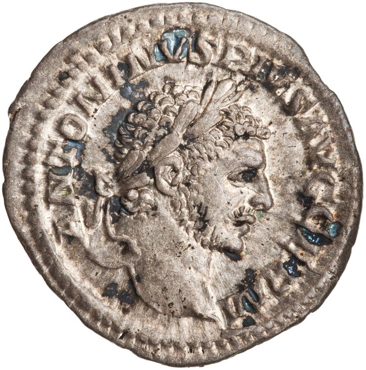 RIC IV Caracalla 311B, obverse, American Numismatic Society (ans)