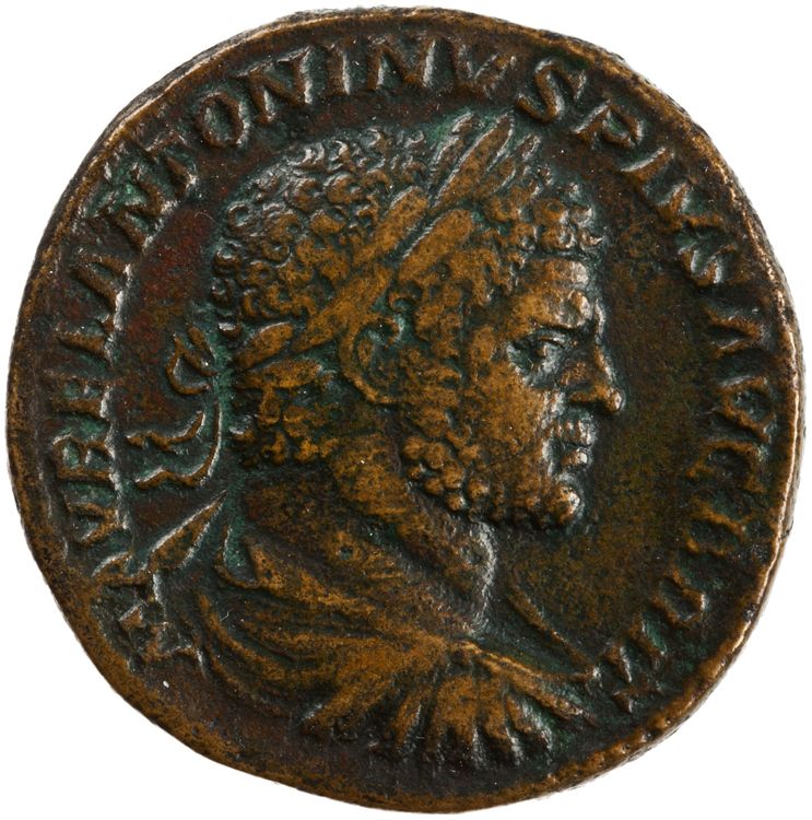 RIC IV Caracalla 496B, аверс, American Numismatic Society (ans)