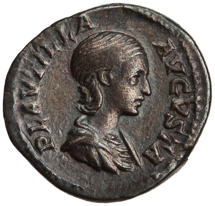 RIC IV Caracalla 367 (denarius), аверс, American Numismatic Society (ans)
