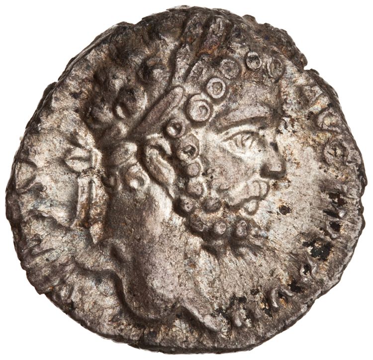 RIC IV Septimius Severus 64 (denarius), аверс, American Numismatic Society (ans)