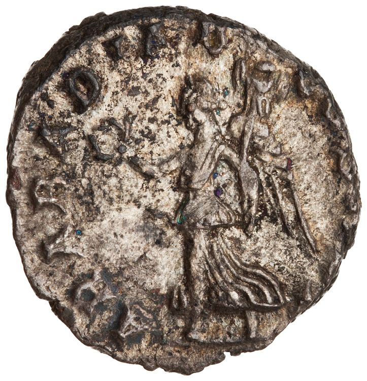 RIC IV Septimius Severus 64 (denarius), реверс, American Numismatic Society (ans)