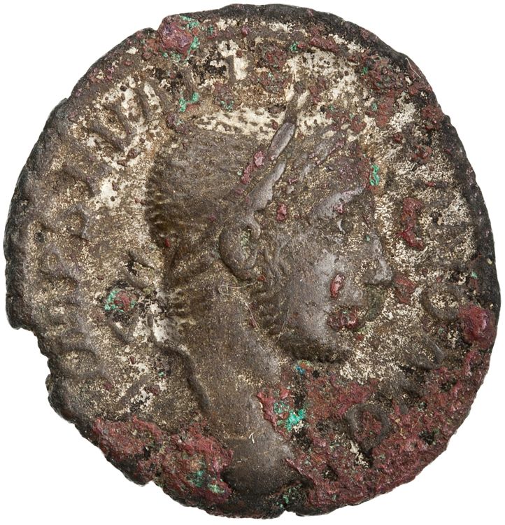 RIC IV Severus Alexander 200a, аверс, American Numismatic Society (ans)