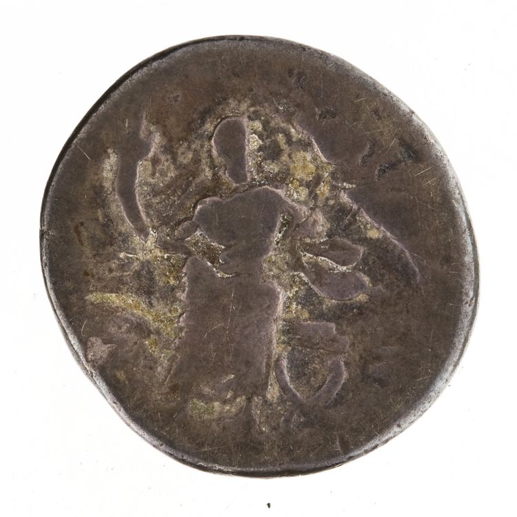 RRC 397/1, реверс, American Numismatic Society (ans)