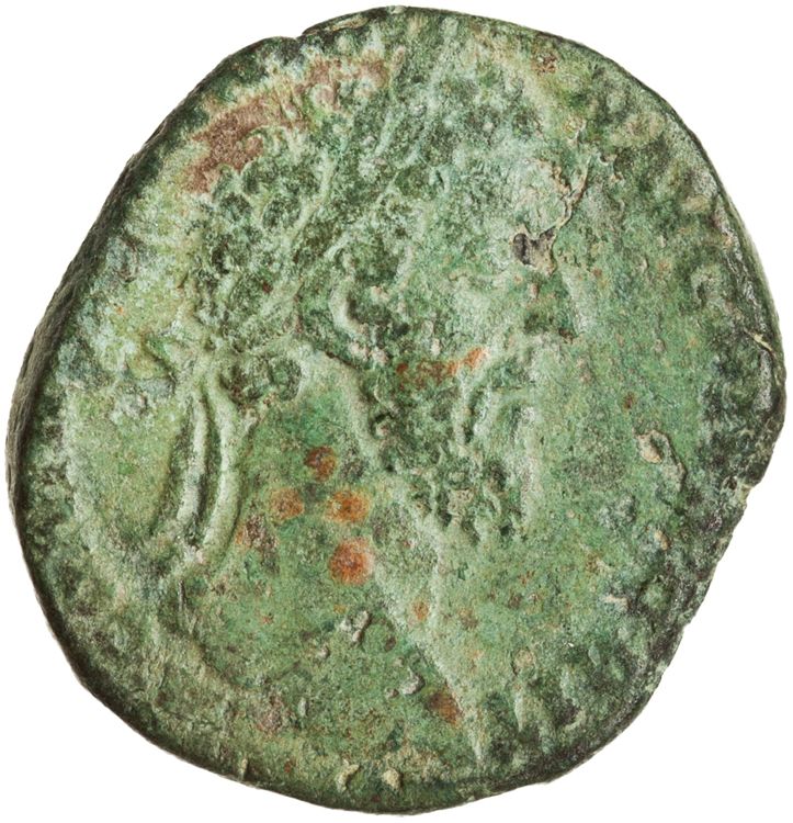 RIC III Commodus 440, аверс, American Numismatic Society (ans)