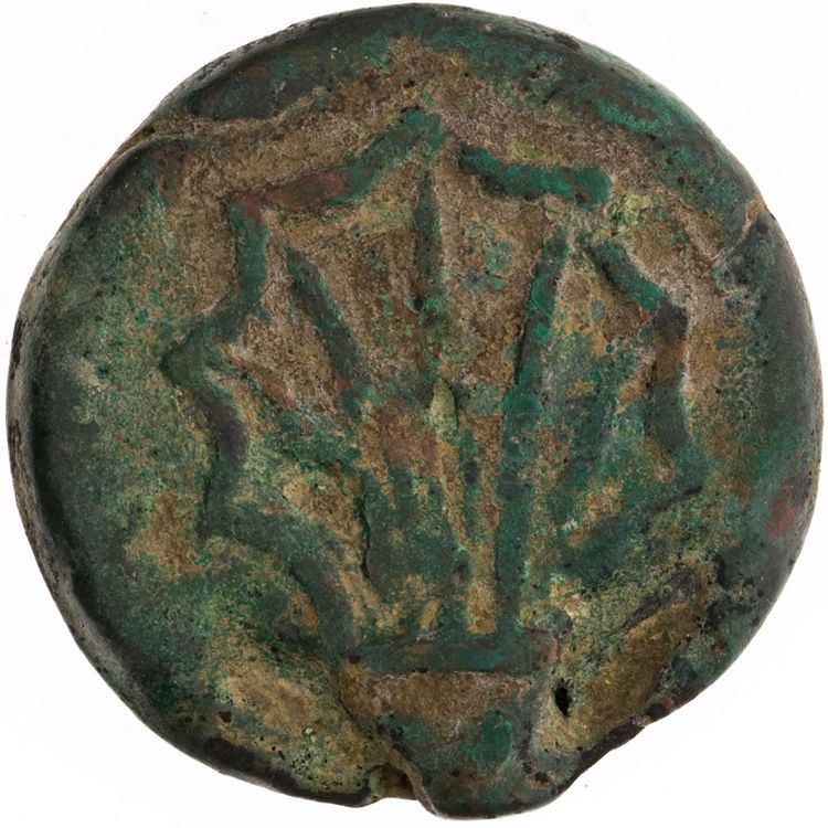 RRC 21/5, реверс, American Numismatic Society (ans)