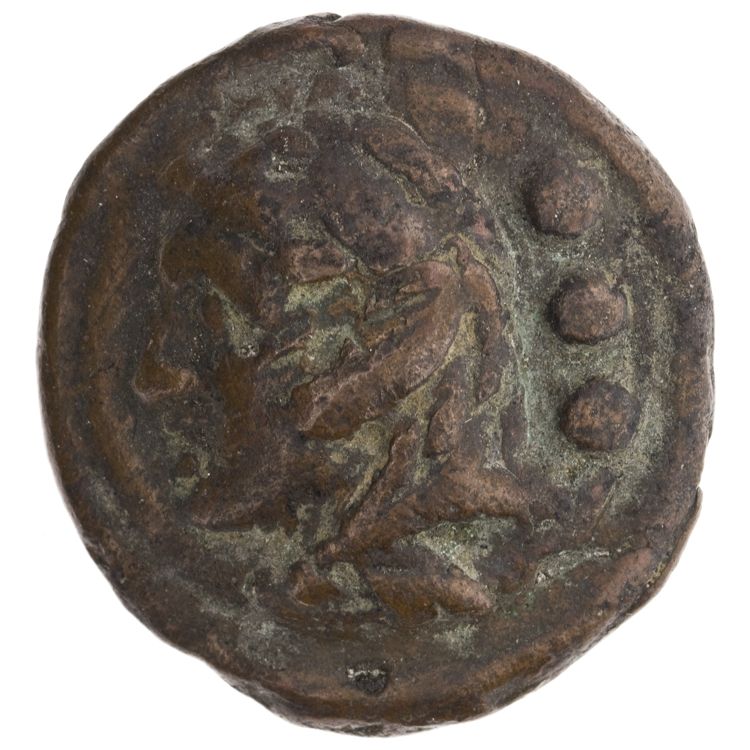 RRC 35/4, аверс, American Numismatic Society (ans)