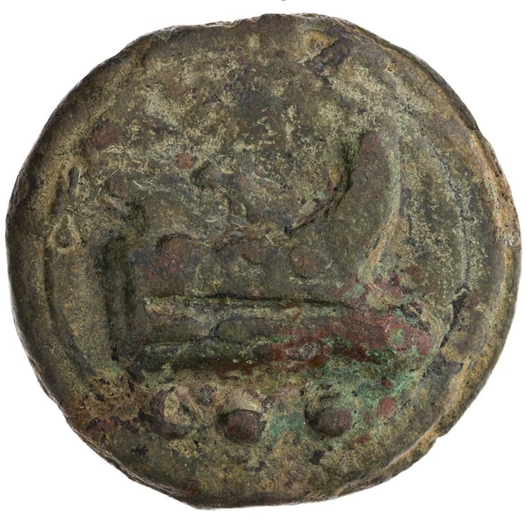 RRC 35/4, реверс, American Numismatic Society (ans)