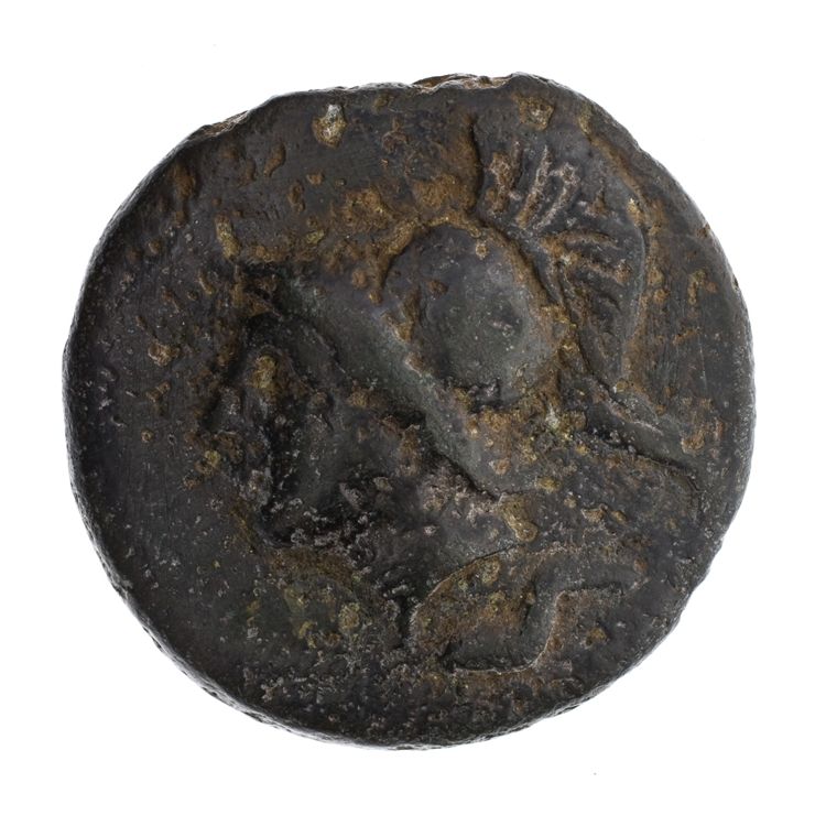 RRC 14/2, obverse, American Numismatic Society (ans)