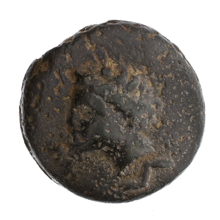 RRC 14/2, reverse, American Numismatic Society (ans)