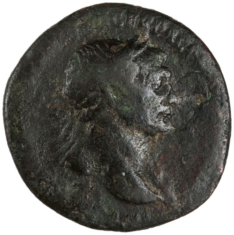 RIC II Trajan 536 (as), аверс, American Numismatic Society (ans)