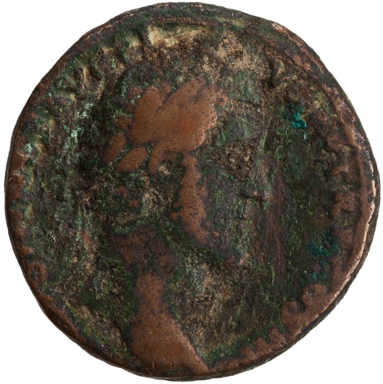 RIC III Antoninus Pius 676, obverse, American Numismatic Society (ans)