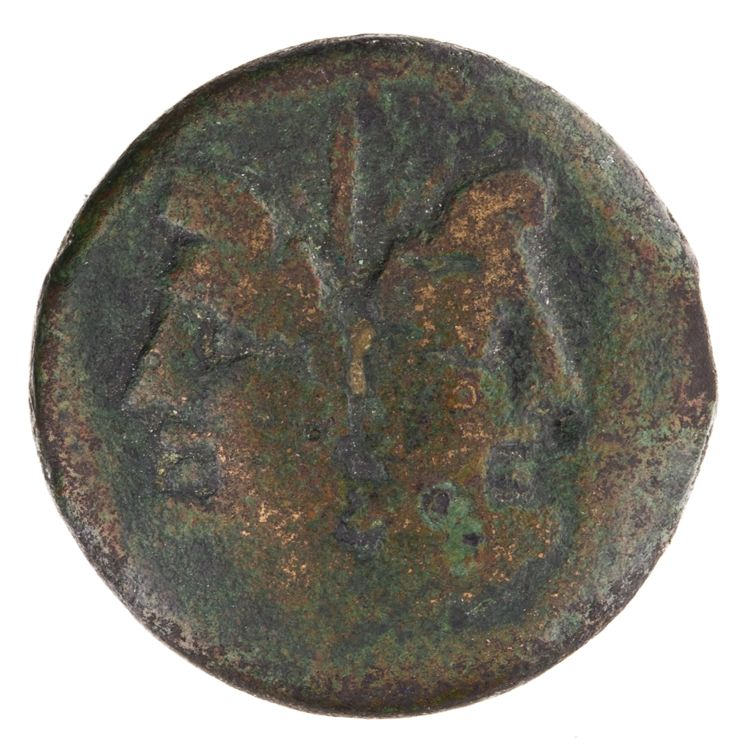 RRC 354/3b, obverse, American Numismatic Society (ans)
