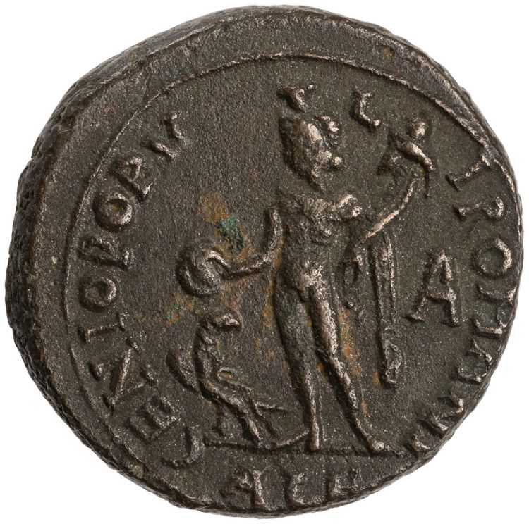 RIC VI Alexandria 18b, реверс, American Numismatic Society (ans)
