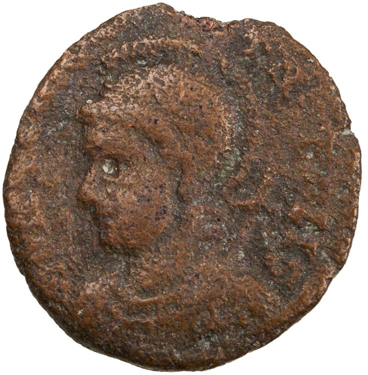 RIC VII Lugdunum 273, аверс, American Numismatic Society (ans)