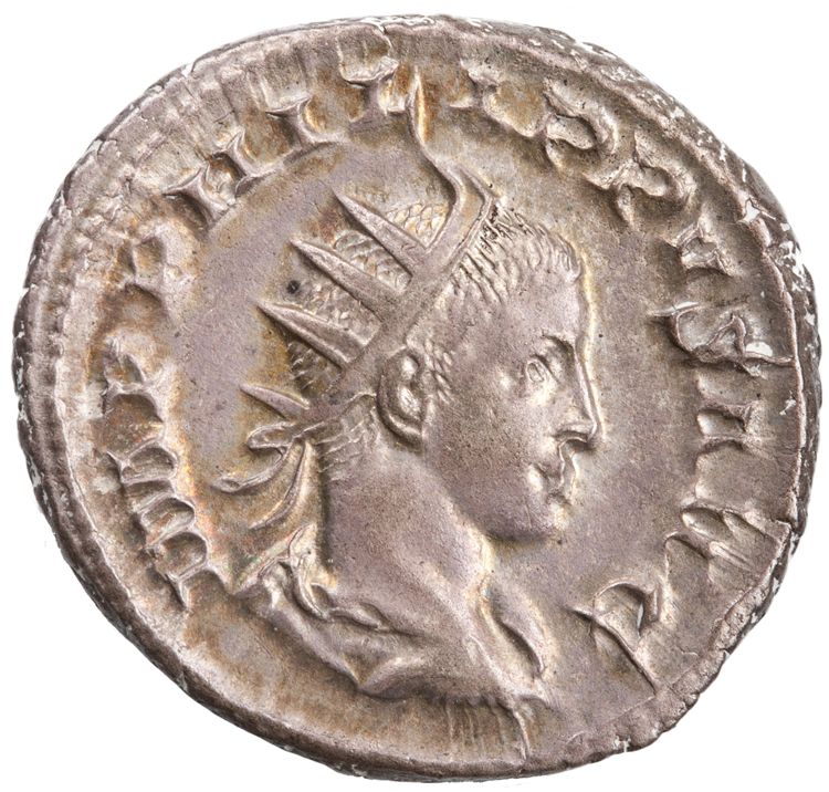 RIC IV Philip I 224, аверс, American Numismatic Society (ans)