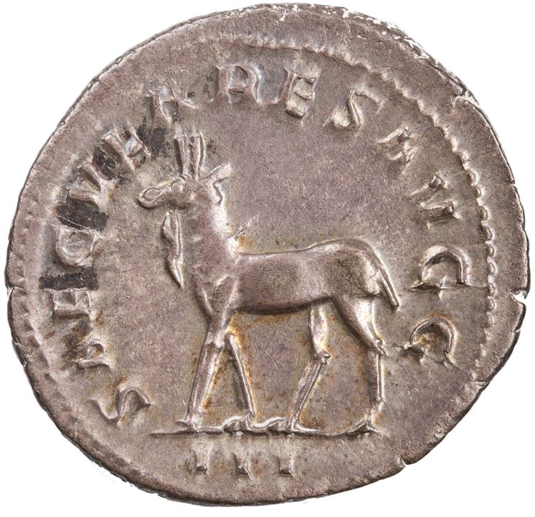 RIC IV Philip I 224, реверс, American Numismatic Society (ans)
