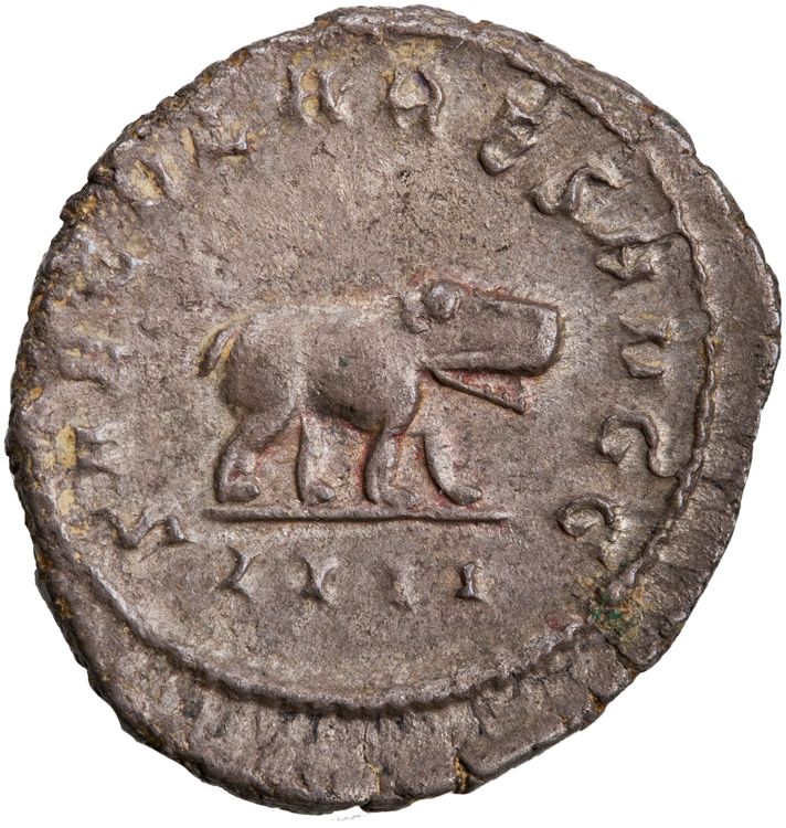 RIC IV Philip I 116B, реверс, American Numismatic Society (ans)