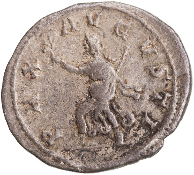 RIC IV Gordian III 214e, реверс, American Numismatic Society (ans)