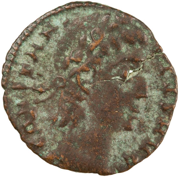 RIC VIII Heraclea 23, аверс, American Numismatic Society (ans)